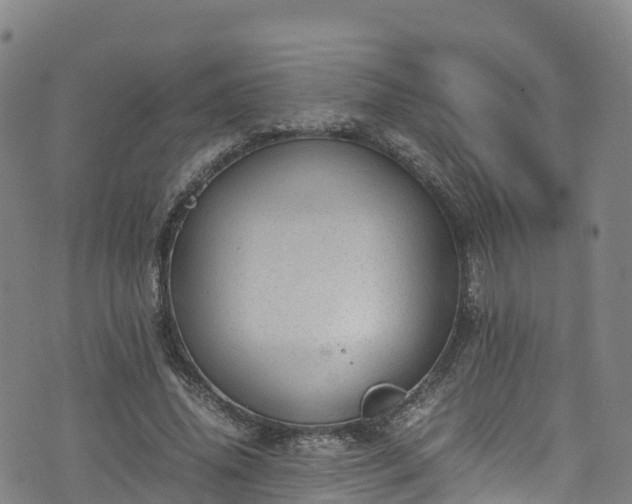 X0000072500636200607211250