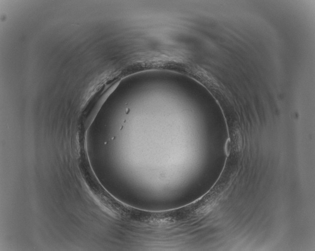 X0000072500638200607211250