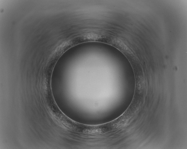 X0000072500639200607211250