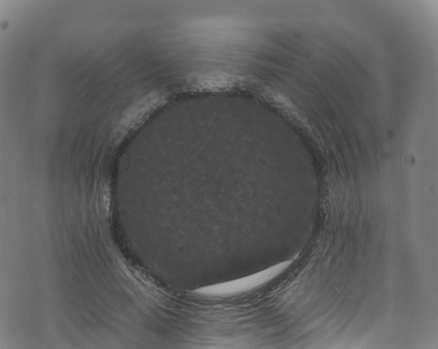 X0000072500640200607211250