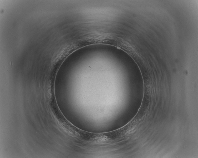 X0000072500642200607211250