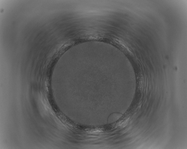 X0000072500643200607211250