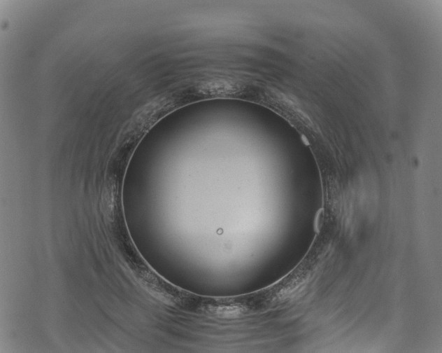 X0000072500645200607211250