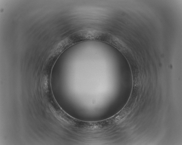 X0000072500646200607211250