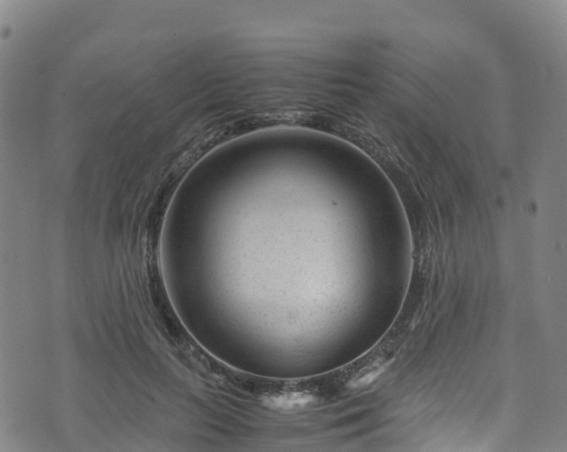 X0000072500647200607211250