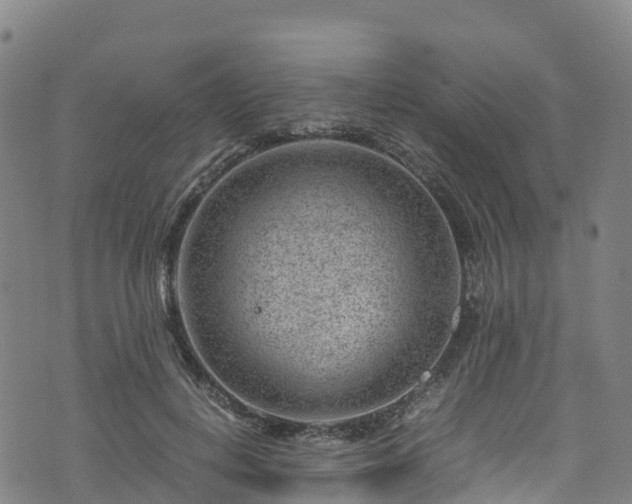 X0000072500648200607211250