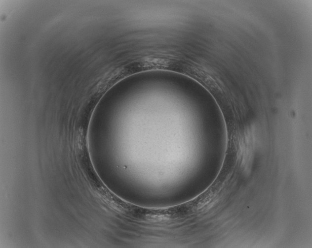 X0000072500649200607211250