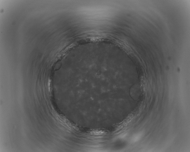 X0000072500650200607211250