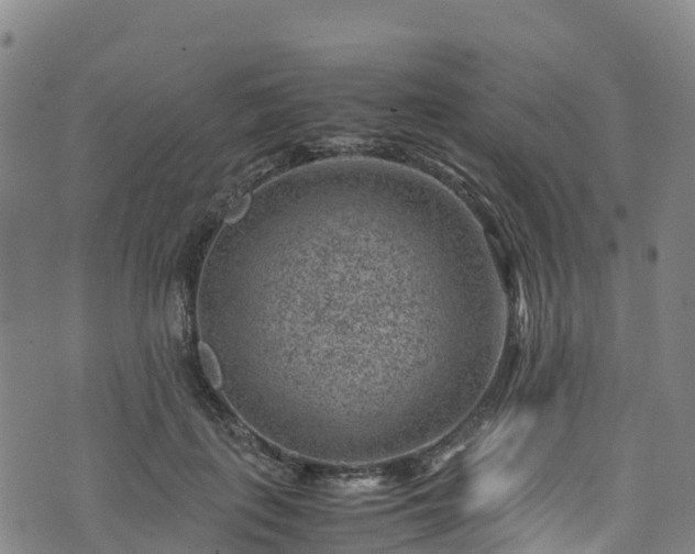 X0000072500651200607211250