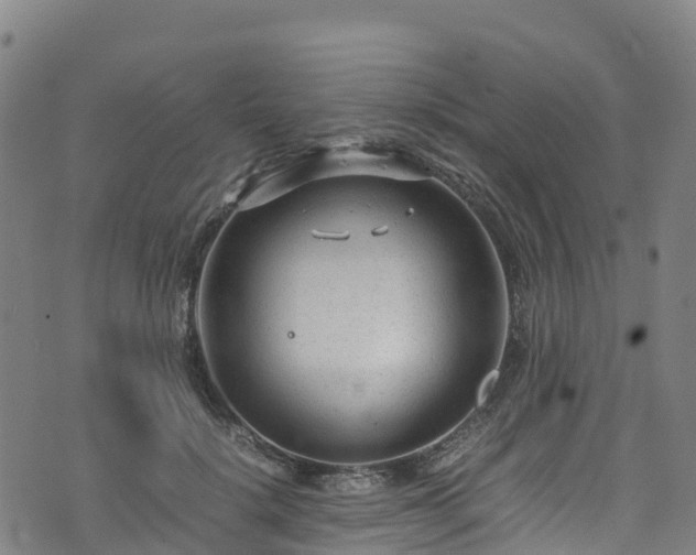 X0000072500652200607211250