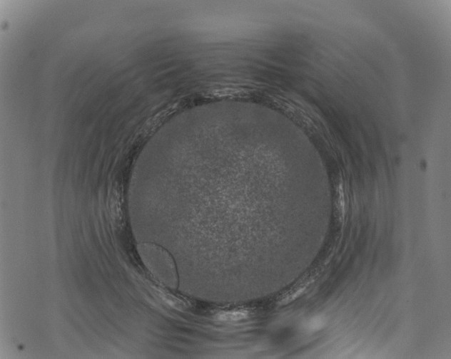 X0000072500653200607211250