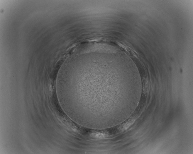 X0000072500655200607211250