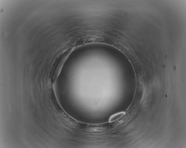 X0000072500657200607211251