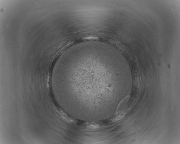 X0000072500658200607211251