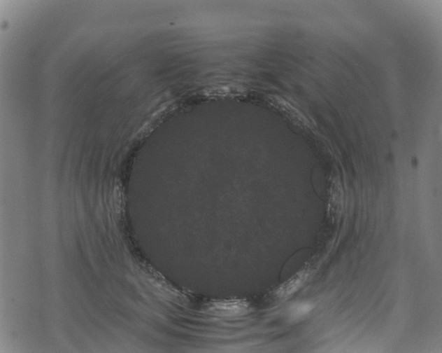 X0000072500659200607211251