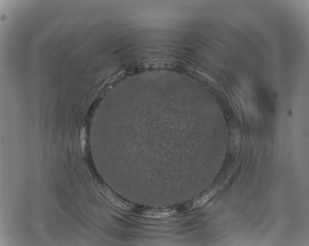 X0000072500661200607211251