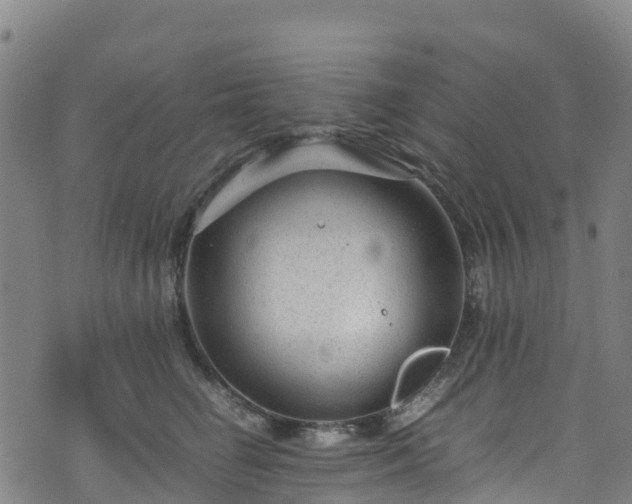 X0000072500662200607211251