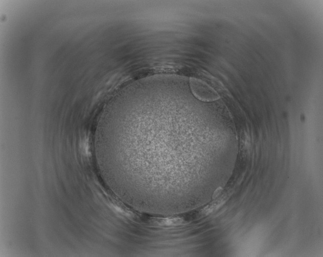 X0000072500663200607211251