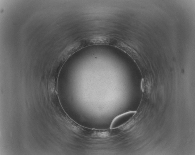 X0000072500665200607211251