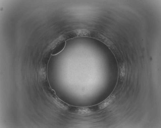 X0000072500666200607211251