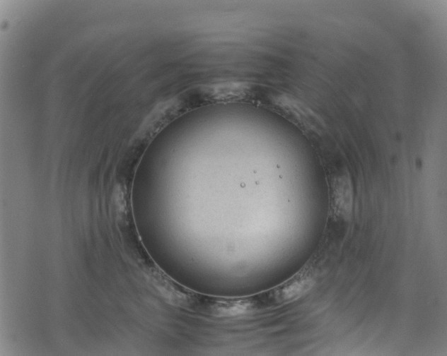 X0000072500667200607211251