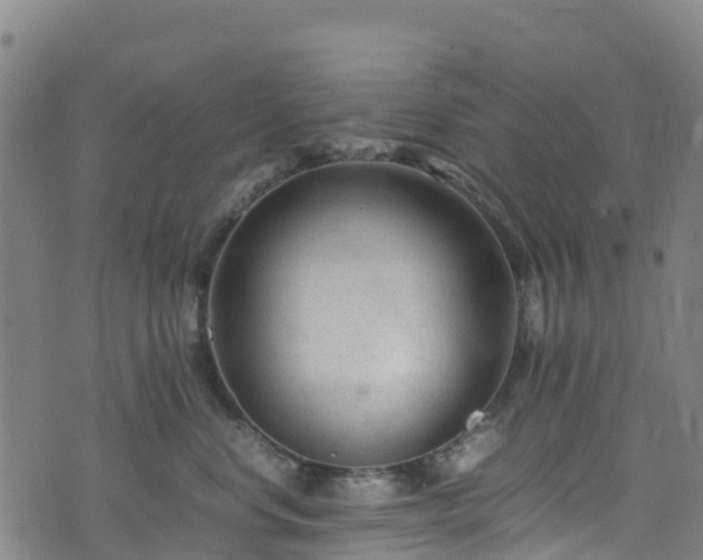 X0000072500668200607211251