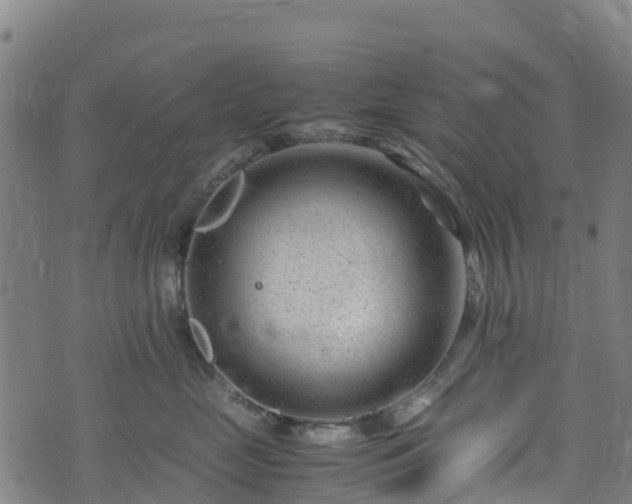 X0000072500669200607211251