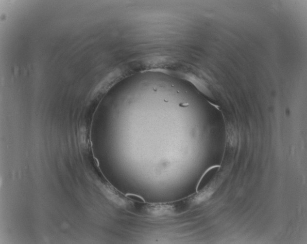 X0000072500670200607211251