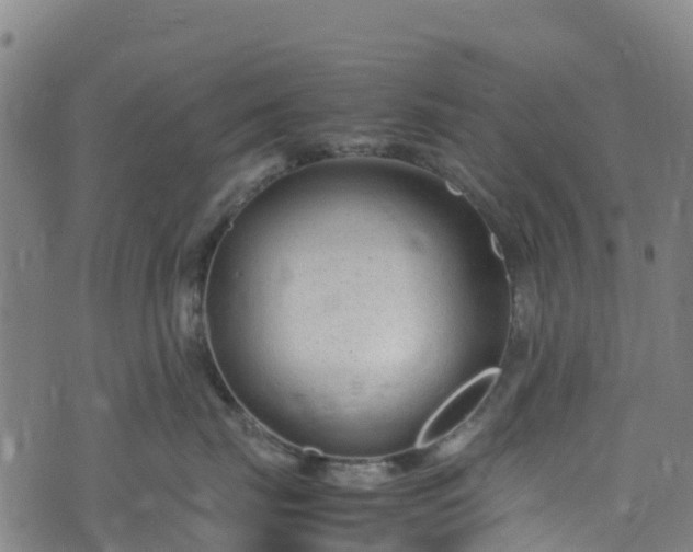 X0000072500671200607211251