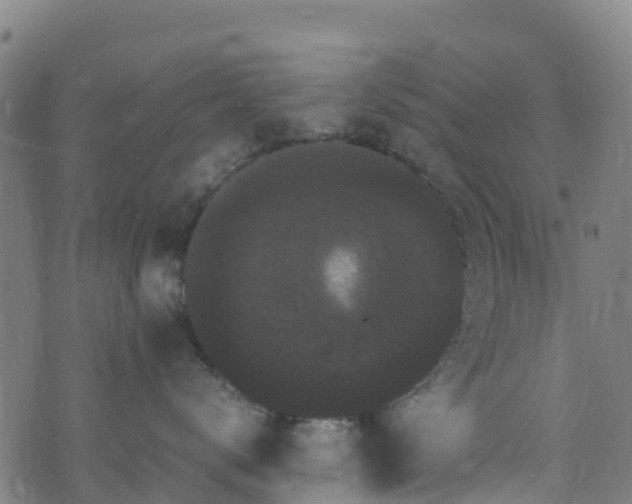 X0000072500672200607211251