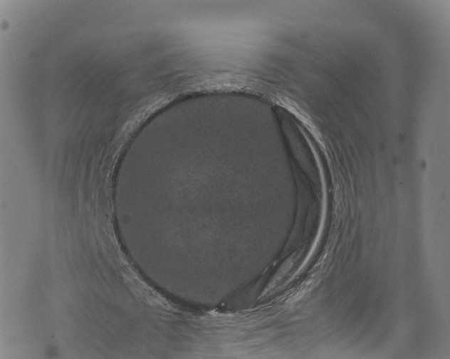 X0000072500673200607211250