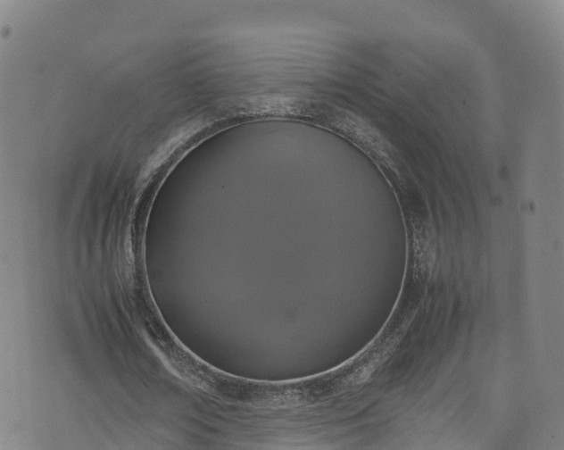 X0000072500674200607211250