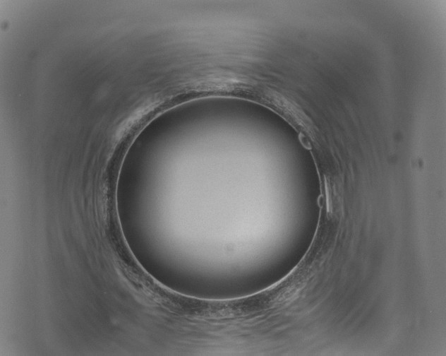 X0000072500675200607211250