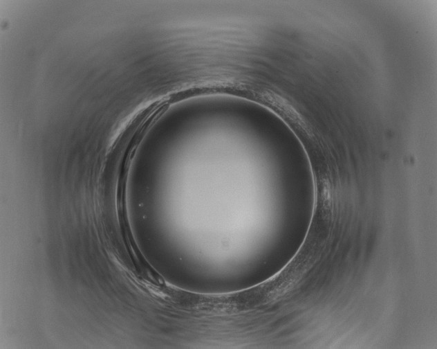 X0000072500676200607211250