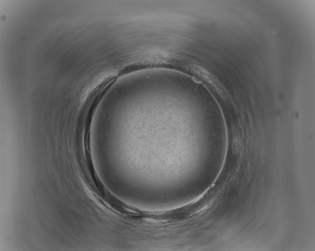 X0000072500677200607211250