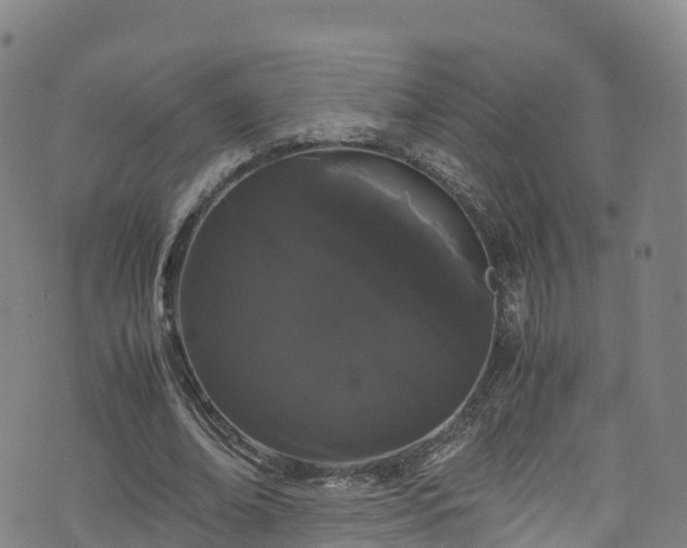 X0000072500678200607211250