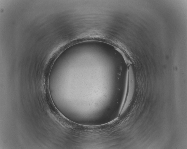 X0000072500680200607211250