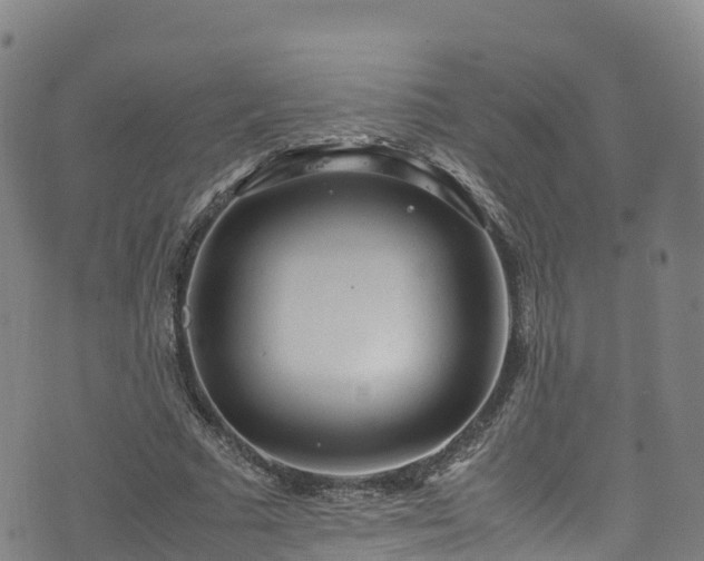 X0000072500681200607211250