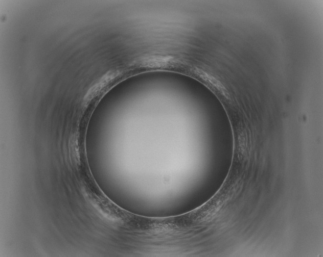 X0000072500682200607211250