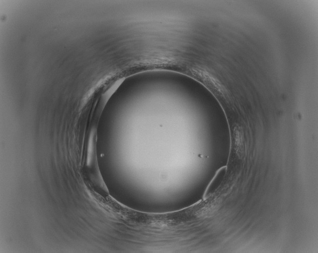 X0000072500684200607211250