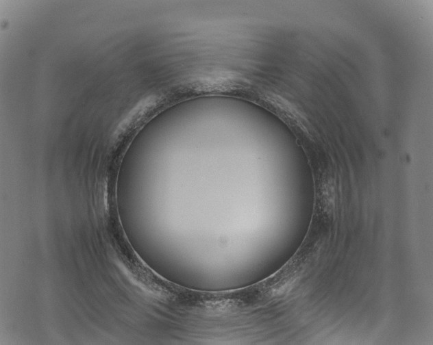 X0000072500686200607211250