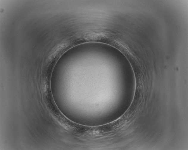 X0000072500687200607211250