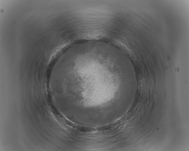 X0000072500688200607211250