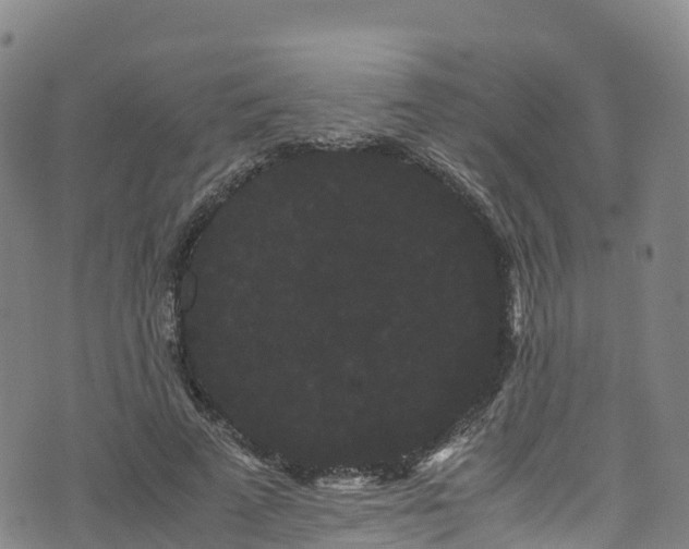 X0000072500689200607211250