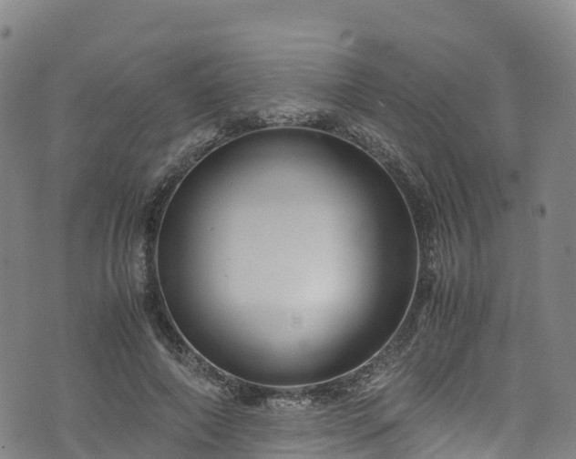 X0000072500690200607211250