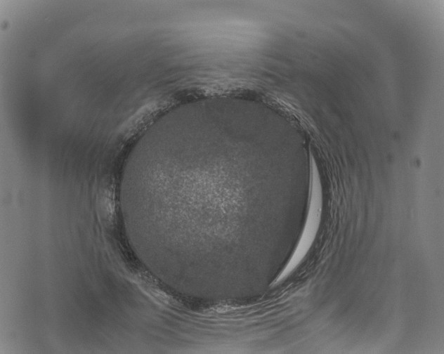 X0000072500691200607211250