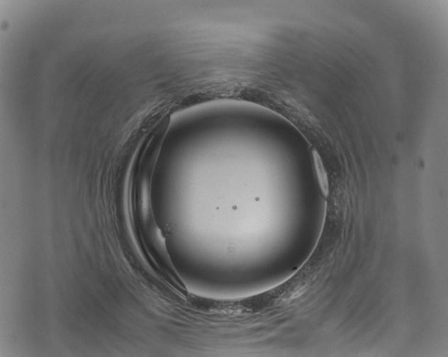 X0000072500693200607211250