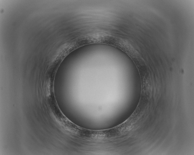 X0000072500694200607211250