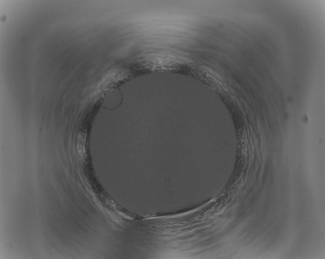 X0000072500695200607211250