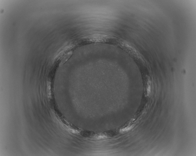 X0000072500696200607211250